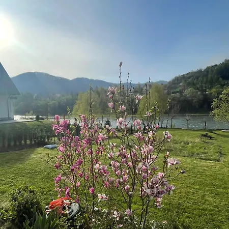 Bialy *